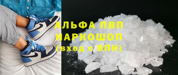 спиды Каменка