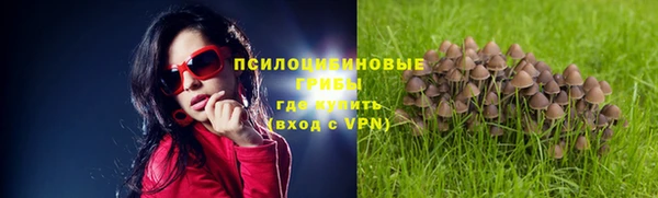 мяу мяу мука Каменск-Шахтинский