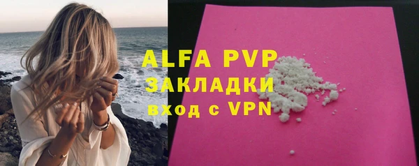 спиды Каменка