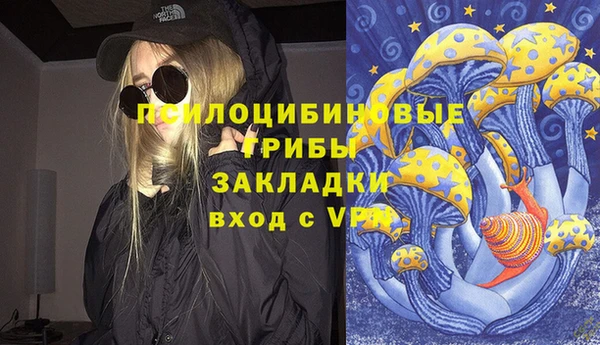 шишки Касимов