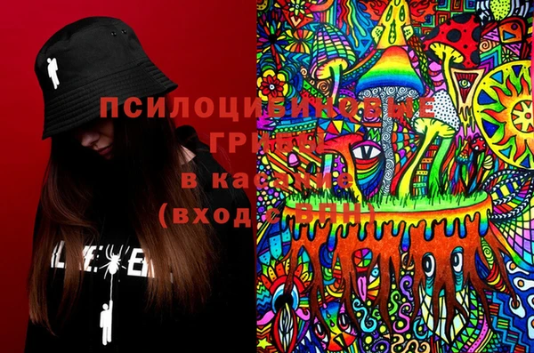 спиды Каменка