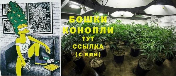 эйфоретик Карпинск