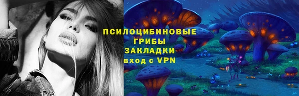 метадон Каменногорск