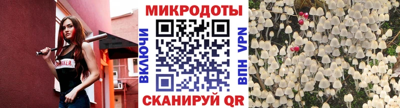 маркетплейс клад  сколько стоит  Кизел  Псилоцибиновые грибы GOLDEN TEACHER 
