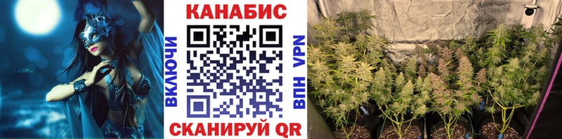 закладки  Кизел  Марихуана сатива 